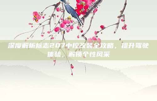 深度解析标志207中控改装全攻略,提升驾驶体验,解锁个性风采