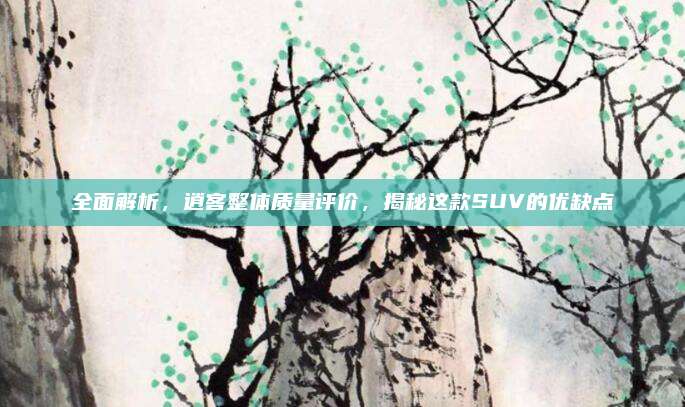 全面解析,逍客整体质量评价,揭秘这款SUV的优缺点