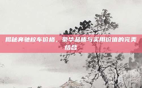 揭秘奔驰校车价格，豪华品质与实用价值的完美结合