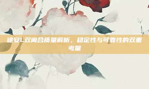 途安L双离合质量解析,稳定性与可靠性的双重考量