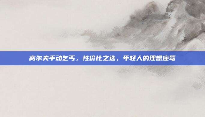 高尔夫手动乞丐,性价比之选,年轻人的理想座驾