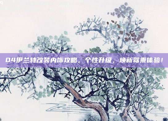 04伊兰特改装内饰攻略，个性升级，焕新驾乘体验！