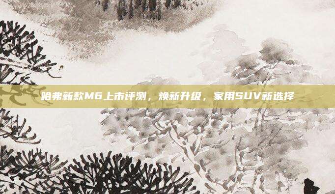 哈弗新款M6上市评测,焕新升级,家用SUV新选择