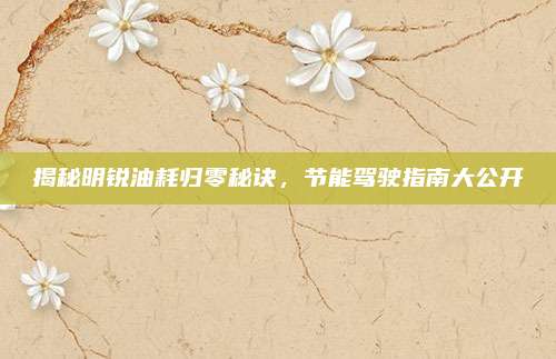 揭秘明锐油耗归零秘诀,节能驾驶指南大公开