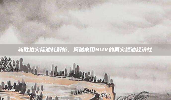 新胜达实际油耗解析,揭秘家用SUV的真实燃油经济性