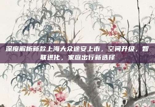 深度解析新款上海大众途安上市,空间升级,智联进化,家庭出行新选择