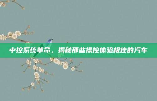 中控系统革命,揭秘那些操控体验极佳的汽车