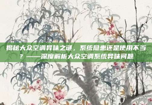 揭秘大众空调异味之谜,系统隐患还是使用不当?——深度解析大众空调系统异味问题