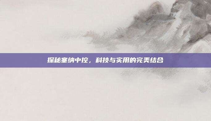 探秘塞纳中控,科技与实用的完美结合