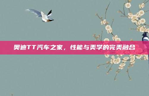 奥迪TT汽车之家,性能与美学的完美融合