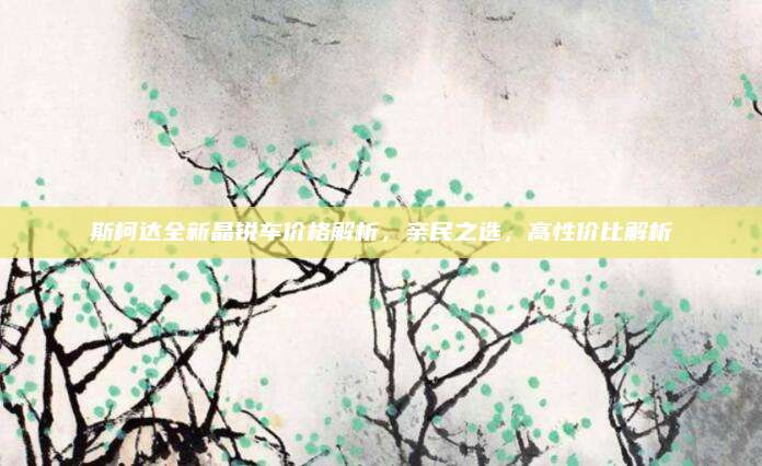 斯柯达全新晶锐车价格解析,亲民之选,高性价比解析