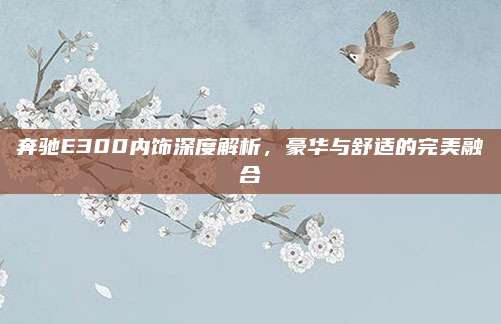 奔驰E300内饰深度解析，豪华与舒适的完美融合