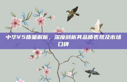 中华V5质量解析,深度剖析其品质表现及市场口碑