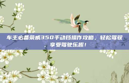 车主必备荣威350手动挡操作攻略,轻松驾驭,享受驾驶乐趣!
