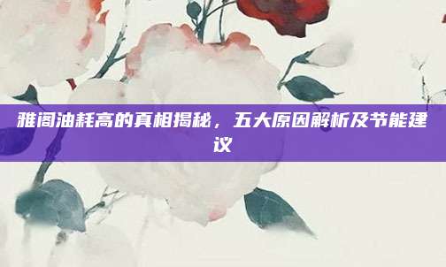 雅阁油耗高的真相揭秘,五大原因解析及节能建议