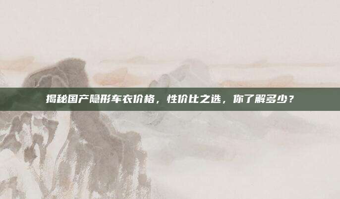 揭秘国产隐形车衣价格,性价比之选,你了解多少?