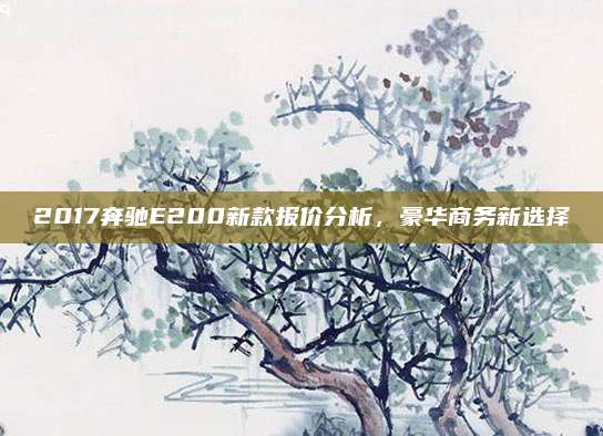 2017奔驰E200新款报价分析,豪华商务新选择