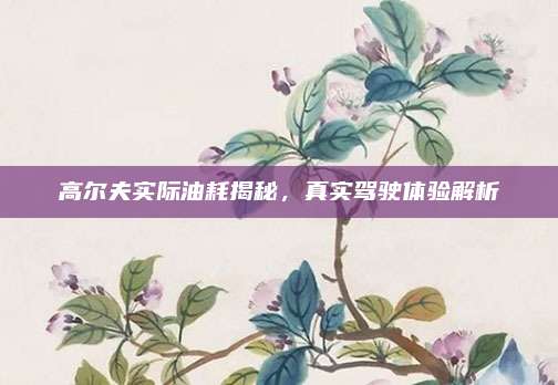 高尔夫实际油耗揭秘,真实驾驶体验解析