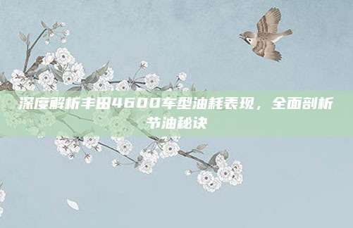 深度解析丰田4600车型油耗表现,全面剖析节油秘诀