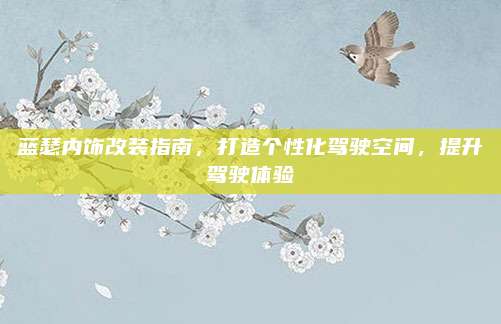 蓝瑟内饰改装指南,打造个性化驾驶空间,提升驾驶体验