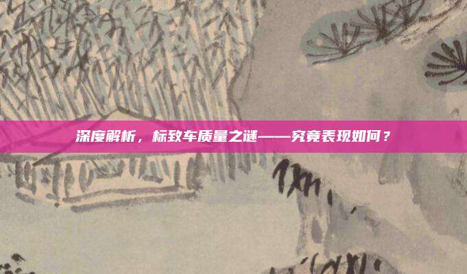 深度解析,标致车质量之谜——究竟表现如何?