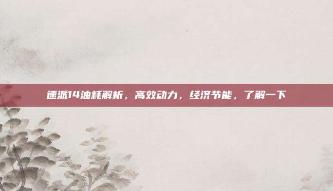 速派14油耗解析,高效动力,经济节能,了解一下