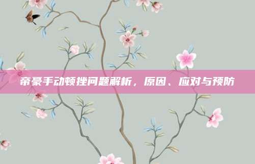 帝豪手动顿挫问题解析,原因、应对与预防