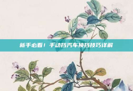 新手必看!手动挡汽车换挡技巧详解
