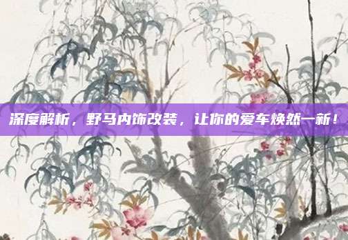 深度解析,野马内饰改装,让你的爱车焕然一新!