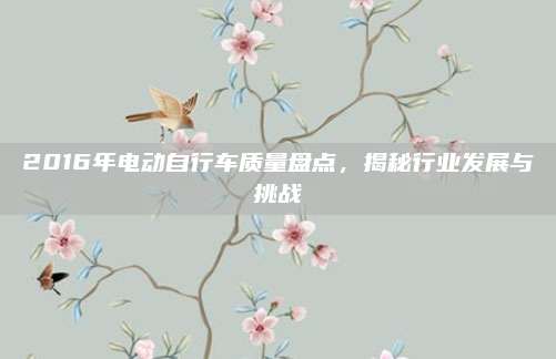 2016年电动自行车质量盘点,揭秘行业发展与挑战