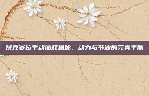 昂克赛拉手动油耗揭秘,动力与节油的完美平衡