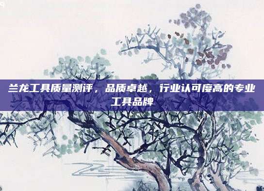 兰龙工具质量测评,品质卓越,行业认可度高的专业工具品牌