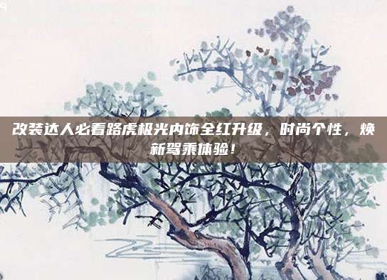 改装达人必看路虎极光内饰全红升级,时尚个性,焕新驾乘体验!