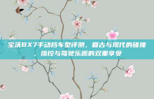 宝沃BX7手动档车型评测,复古与现代的碰撞,操控与驾驶乐趣的双重享受