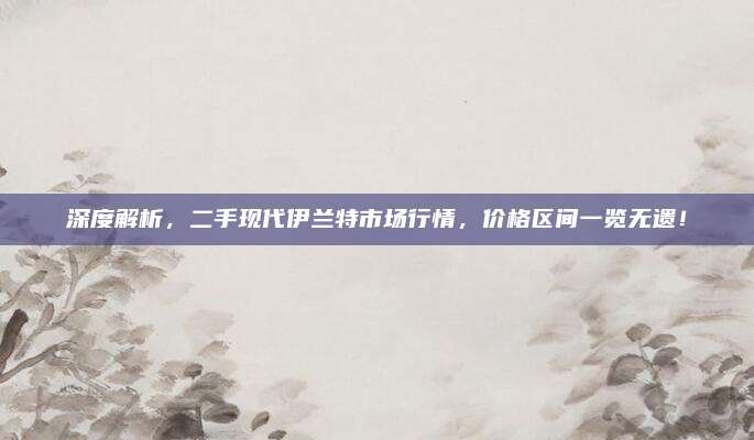 深度解析,二手现代伊兰特市场行情,价格区间一览无遗!