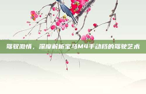 驾驭激情,深度解析宝马M4手动档的驾驶艺术