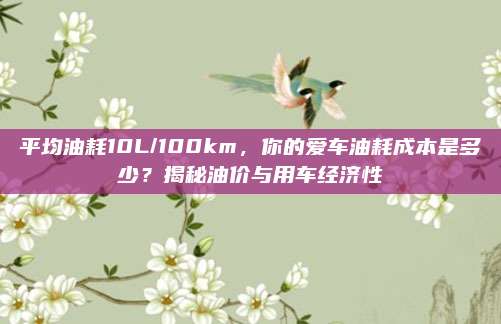 平均油耗10L/100km,你的爱车油耗成本是多少?揭秘油价与用车经济性