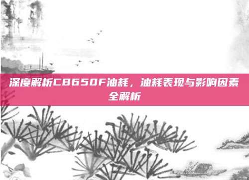 深度解析CB650F油耗,油耗表现与影响因素全解析