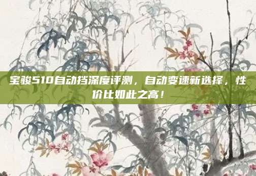 宝骏510自动挡深度评测,自动变速新选择,性价比如此之高!