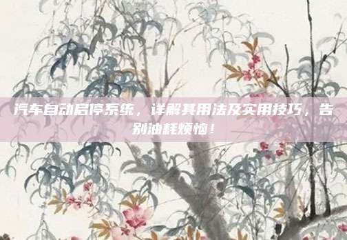 汽车自动启停系统,详解其用法及实用技巧,告别油耗烦恼!
