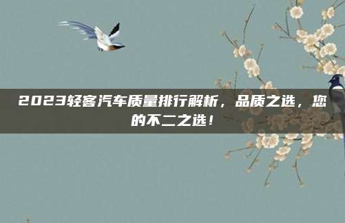 2023轻客汽车质量排行解析，品质之选，您的不二之选！