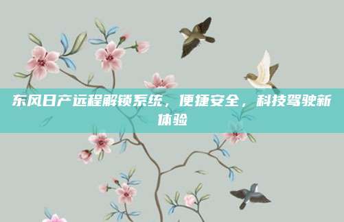 东风日产远程解锁系统,便捷安全,科技驾驶新体验