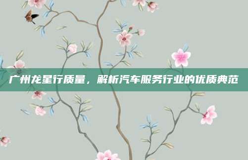 广州龙星行质量,解析汽车服务行业的优质典范