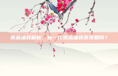 雨燕油耗解析,新一代雨燕油耗表现如何?