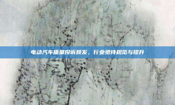 电动汽车质量投诉频发,行业亟待规范与提升