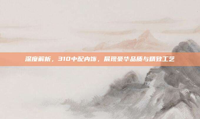 深度解析,310中配内饰,展现豪华品质与精致工艺