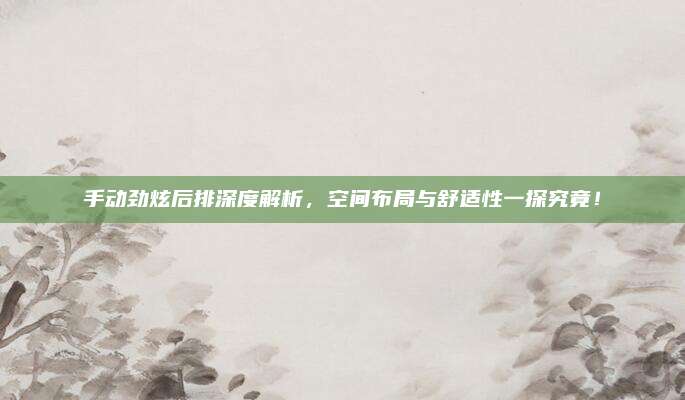 手动劲炫后排深度解析,空间布局与舒适性一探究竟!