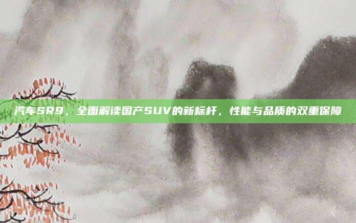 汽车SR9,全面解读国产SUV的新标杆,性能与品质的双重保障