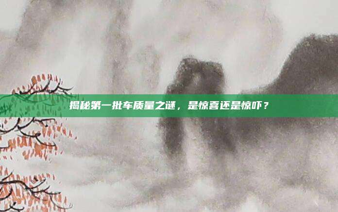 揭秘第一批车质量之谜,是惊喜还是惊吓?