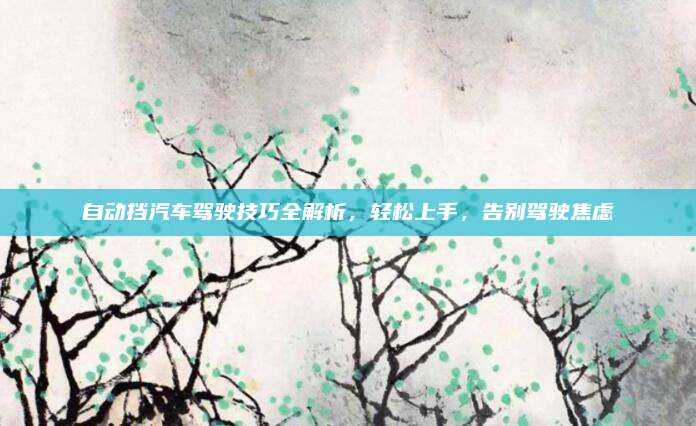自动挡汽车驾驶技巧全解析,轻松上手,告别驾驶焦虑